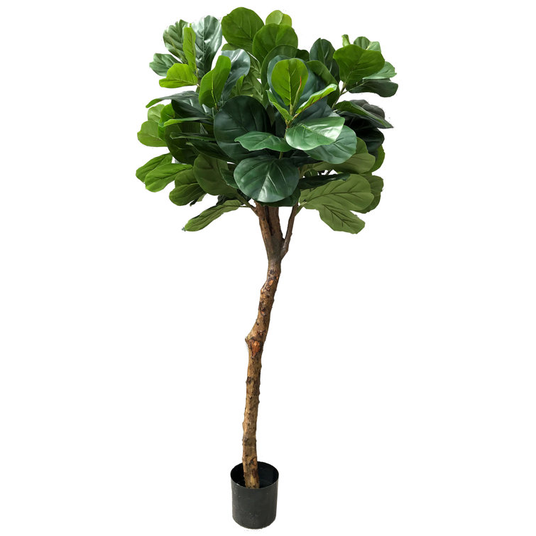 Laurel Foundry Modern Farmhouse 72'' Faux Fiddle Leaf Fig Tree in Pot & Reviews Wayfair